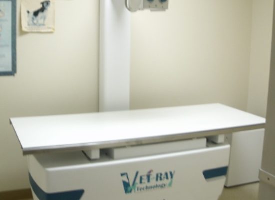 Digital X-ray machine