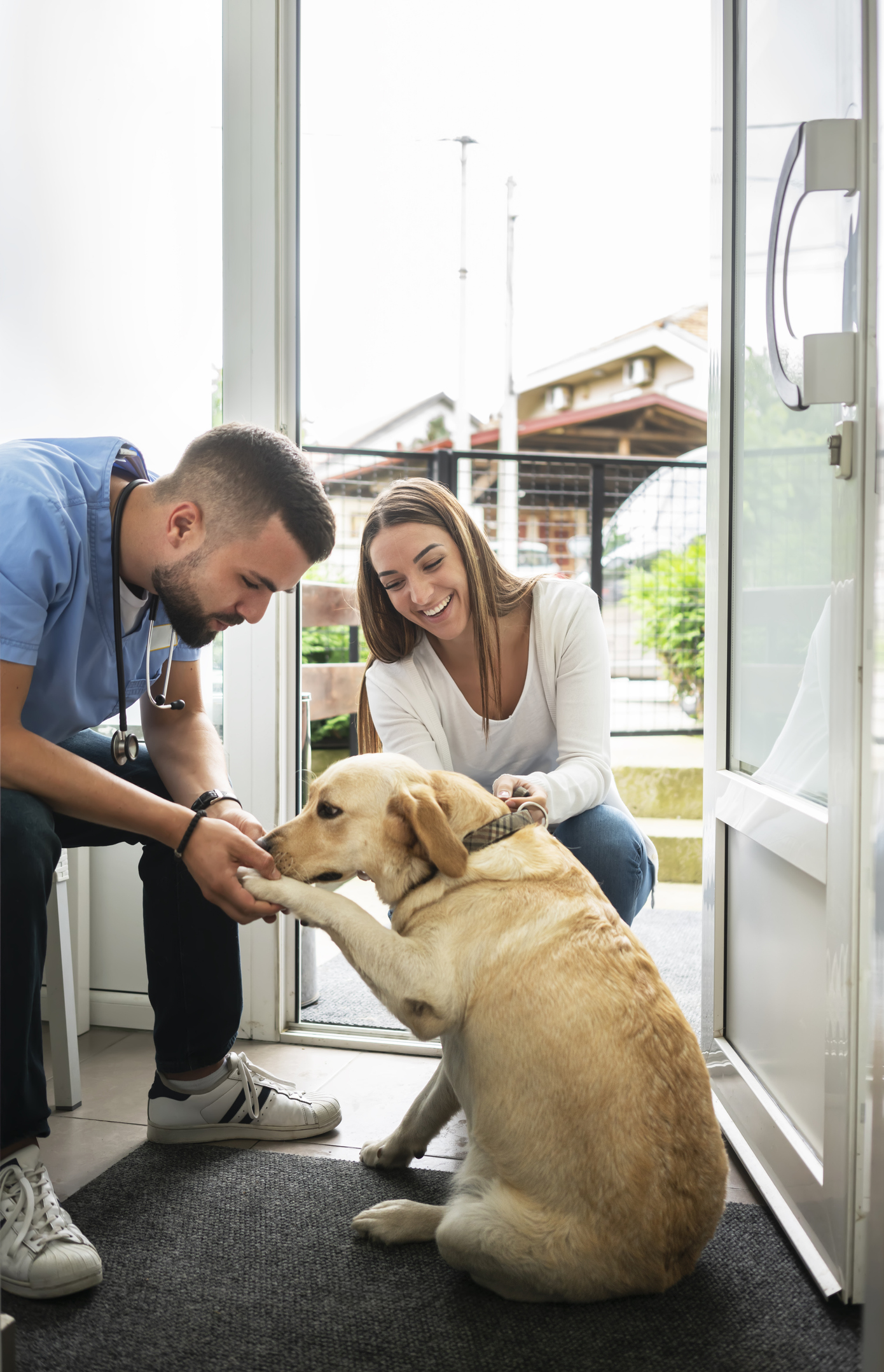 Pet Services near Huntley, IL Spring Hill Veterinary Clinic